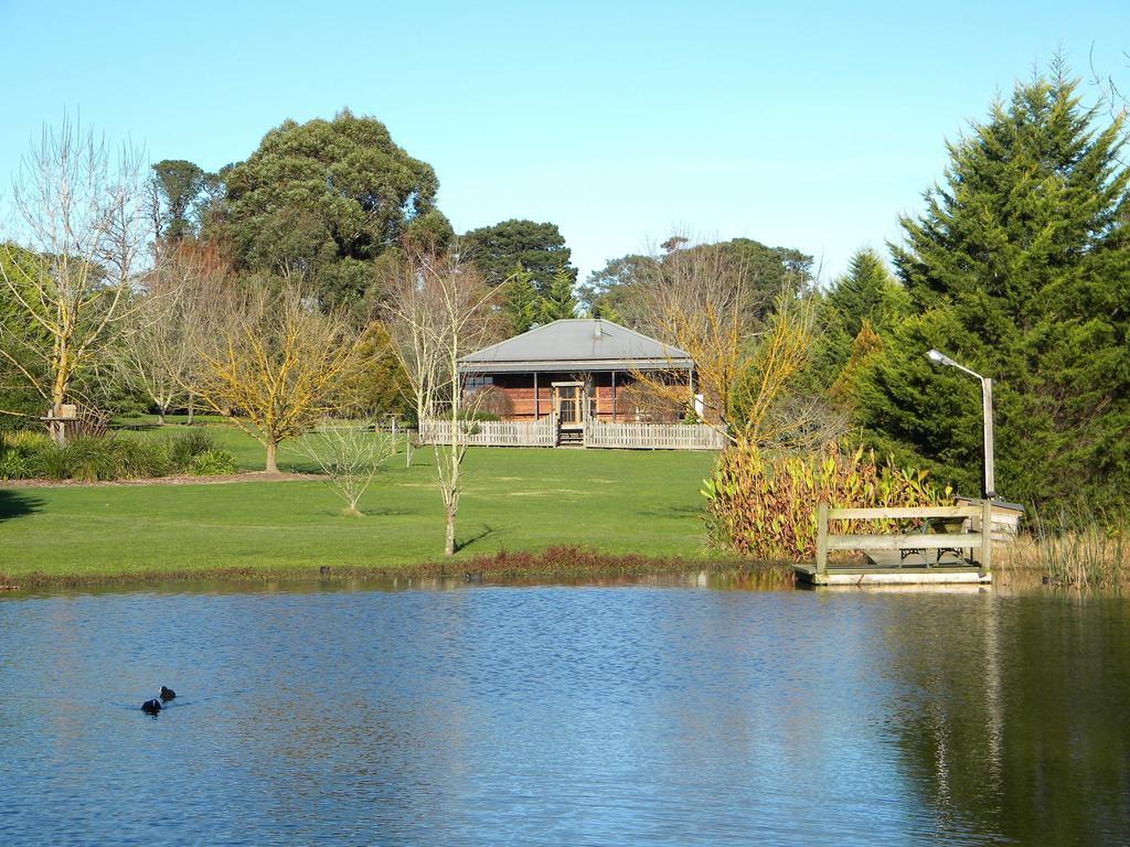 Sanctuary Park Cottages Healesville Δωμάτιο φωτογραφία